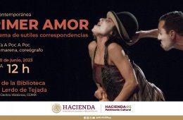 Imagen muestra de la actividad: Primer amor, un sistema de sutiles correspondencias