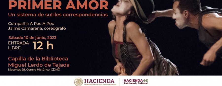 Primer amor, un sistema de sutiles correspondencias