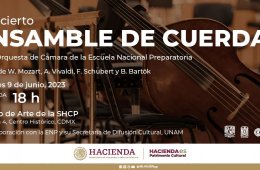 Imagen muestra de la actividad: Concierto. Ensamble de cuerdas