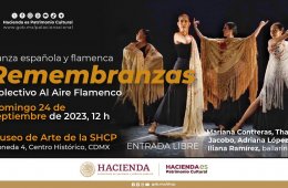 Imagen muestra de la actividad Danza española y flamenca | Remembranzas