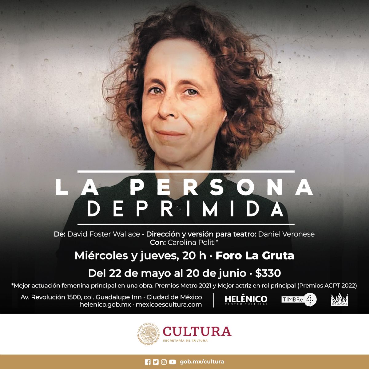 Imagen muestra de La persona deprimida