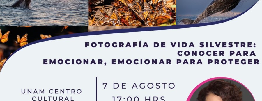 Conferencia: Fotografía de vida silvestre: conocer para emocionar, emocionar para proteger