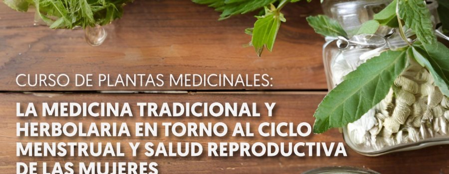 Curso de plantas medicinales