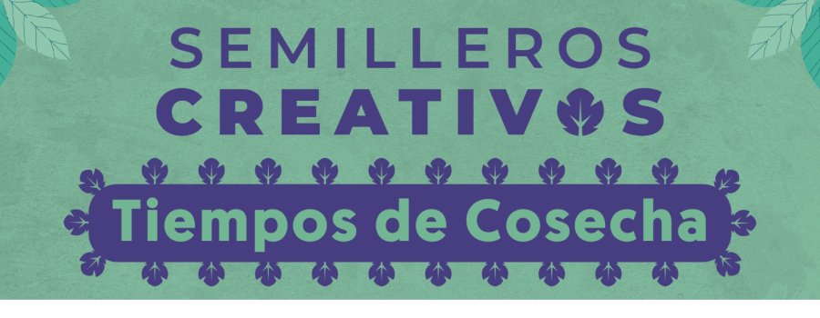Tiempo de Cosecha, 2024