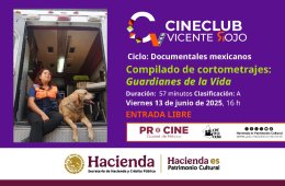 Imagen muestra de la actividad Cineclub Vicentre Rojo | Compilado de cortometrajes: Guar...