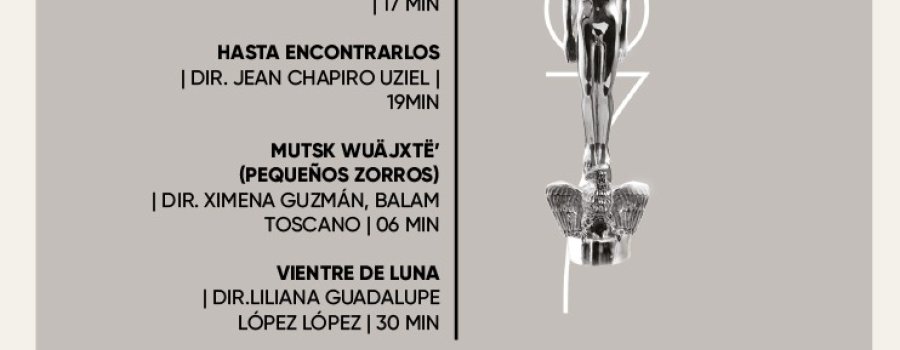 Anónima identidad - Buscando un burro - Hasta encontrarlos - Mutsk wuäjxtë (pequeños zorros) - Vientre de luna