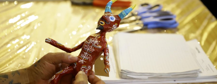 20 años cartoneando