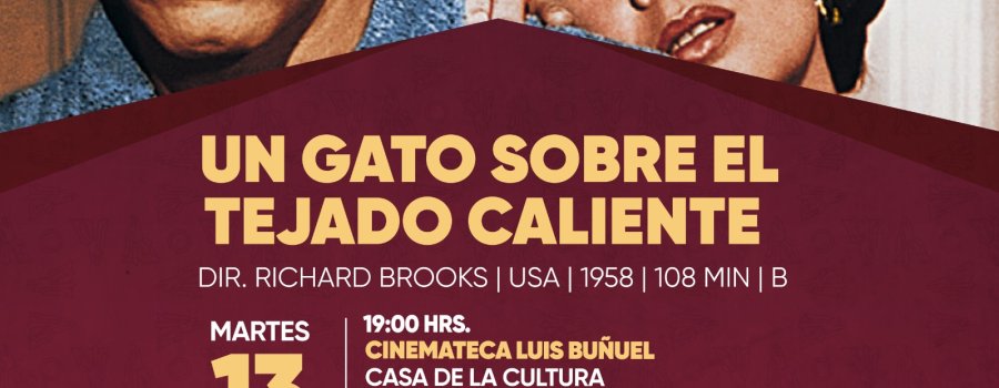 Un gato sobre el tejado caliente