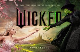 Imagen muestra de la actividad Wicked