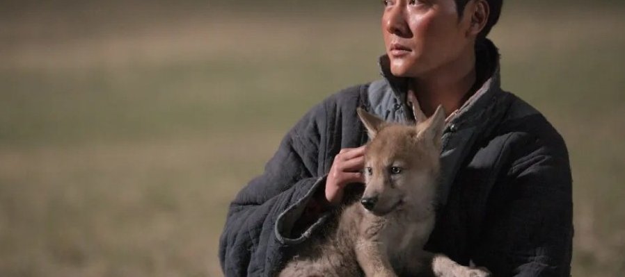 Wolf totem