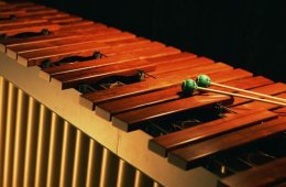 Imagen muestra de la actividad Wood, Metal and Sound