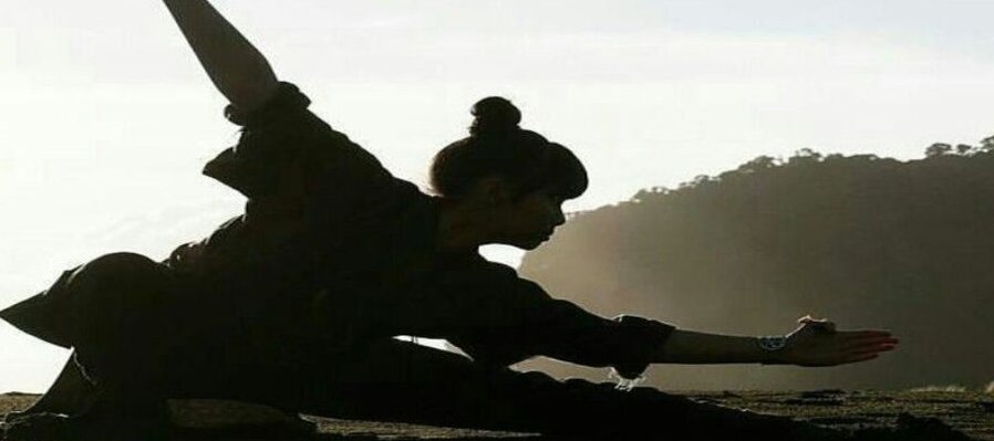 Wushu moderno