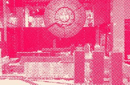 Imagen muestra de la actividad Xaltilolli: crónicas de comunidad