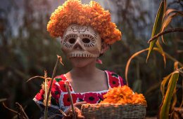 Xantolo: La fiesta de los muertos