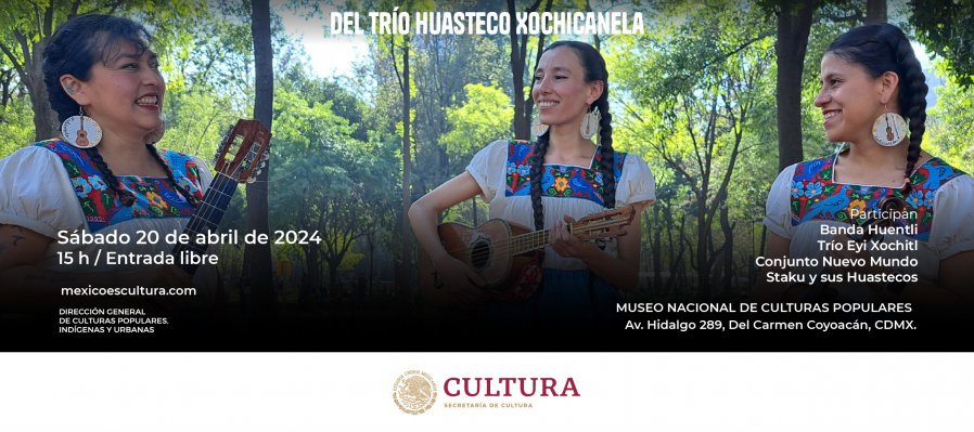 Para curar tus dolores del Trío Huasteca Xochicanela