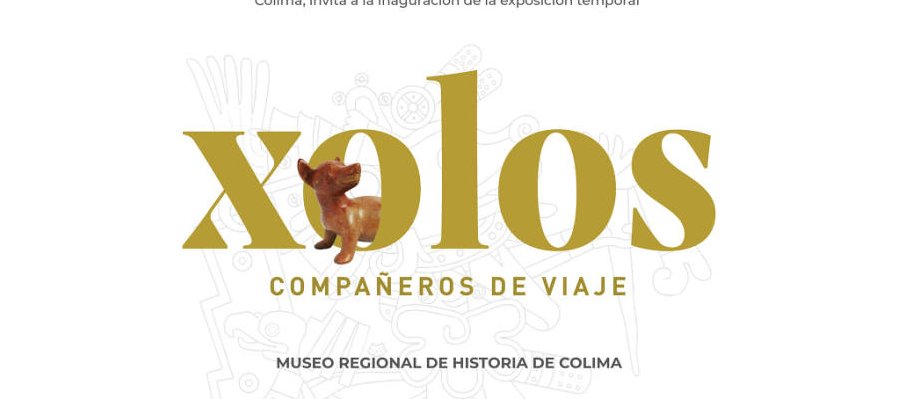 Xolos compañeros de viaje