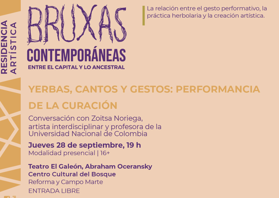 Yerbas, cantos y gestos: performancia de la curación