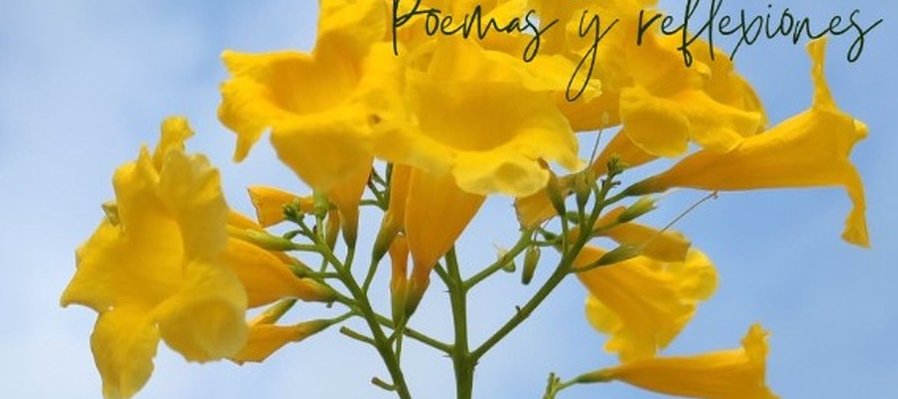 Yo Mujer. Poemas y reflexiones