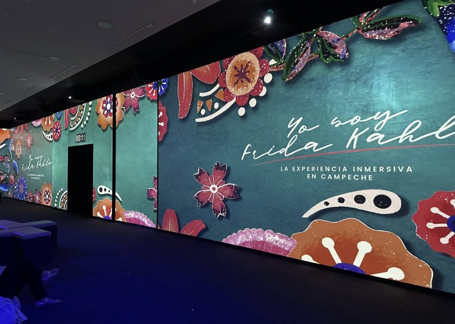 Imagen muestra de la actividad Yo soy Frida Kahlo