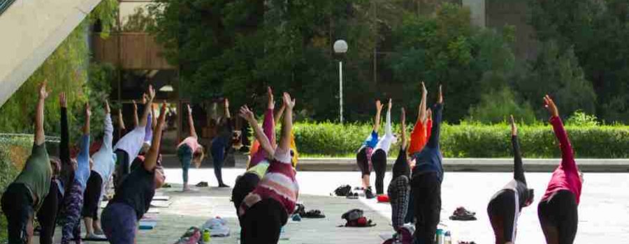Yoga dominical