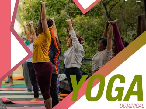Yoga dominical
