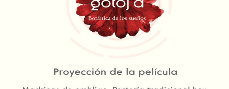 Madrinas Ombligo, partería tradicional