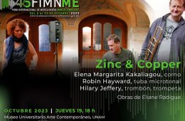 Imagen muestra de la actividad: Zinc & Copper