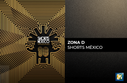 Zona D Shorts México