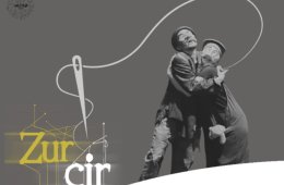 Imagen muestra de la actividad Zur Cir