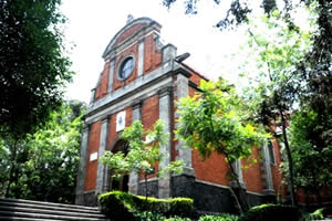 Imagen muestra del recinto Biblioteca Central Delegacional Carlos Chávez