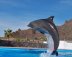 Imagen muestra del recinto Delfinario Sonora