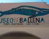 Imagen muestra del recinto Museo de la Ballena Punta Maldonado