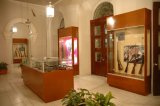 Imagen muestra del recinto Museo del Palacio de Gobierno, Colima